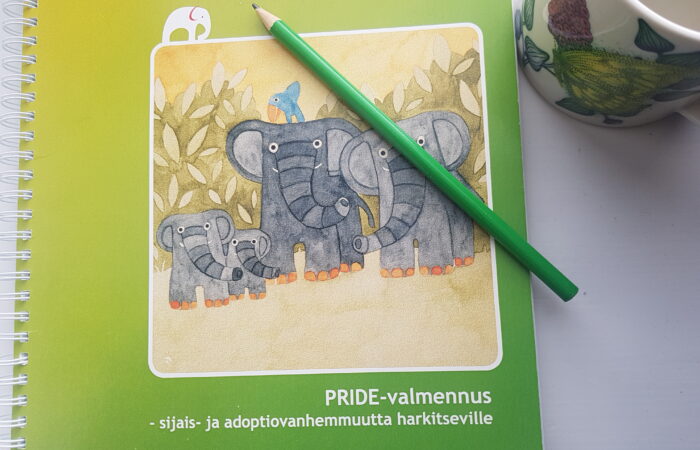 PRIDE-valmennuksen opaskirjan kansikuva