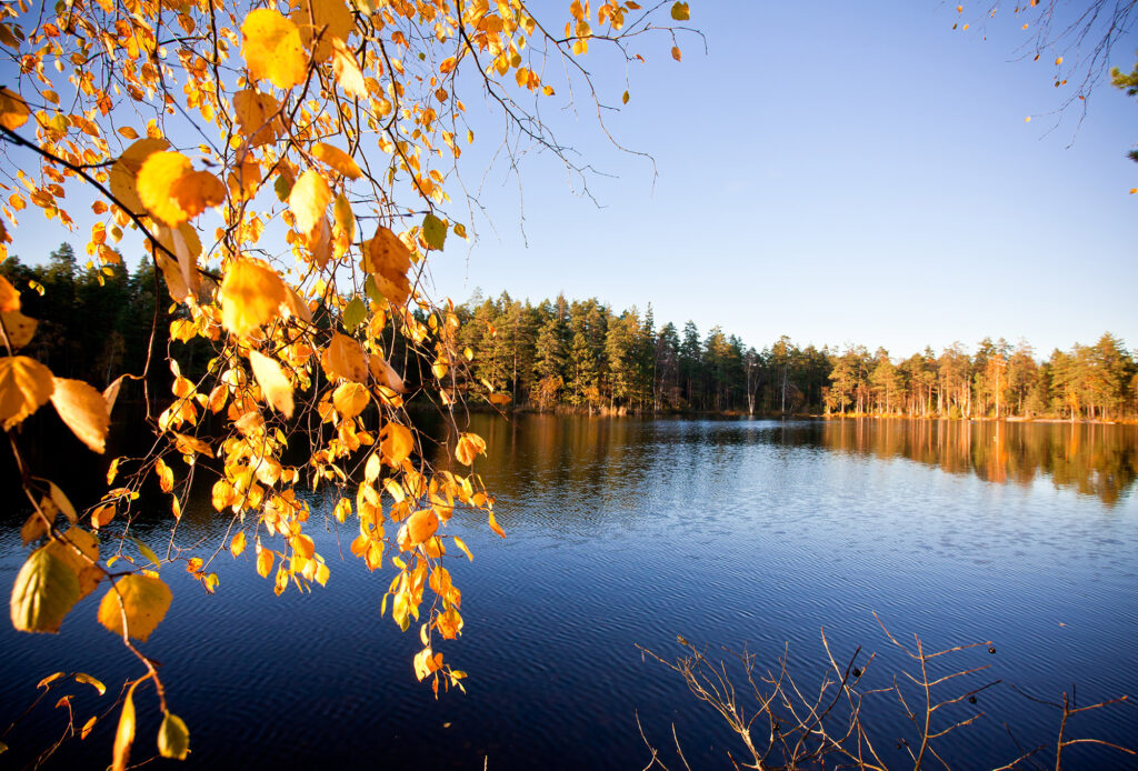 Syksyinen järvimaisema